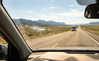 The Reality of Wyoming Summer Driving and Windshield Damage